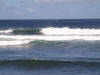 Les surfeurs du North Shore
